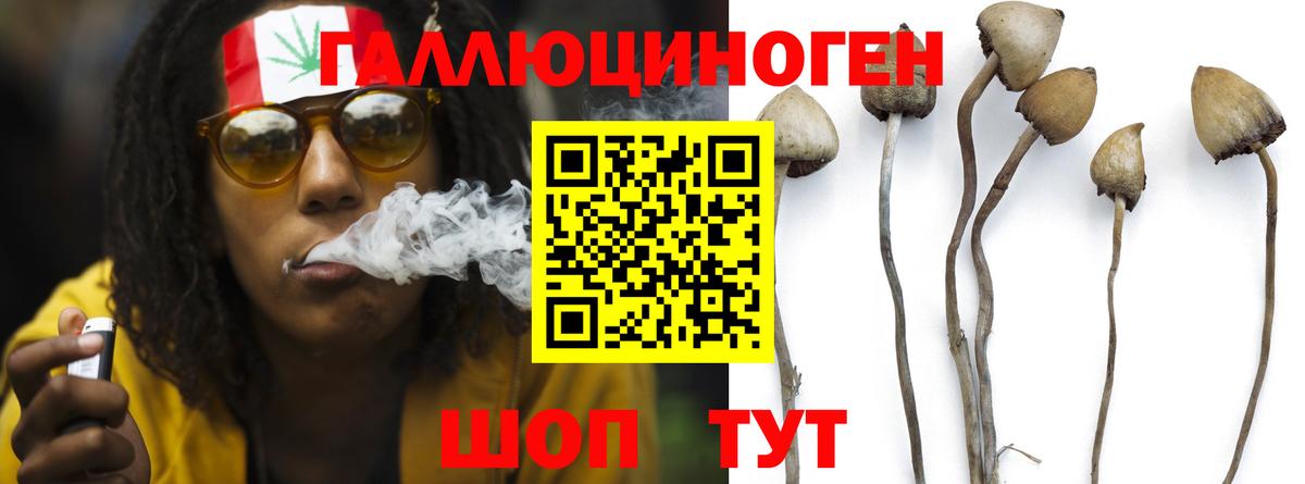Галлюциногенные грибы мухоморы  Вход с VPN  Галлюциногенные грибы Psilocybine cubensis  Глазов 